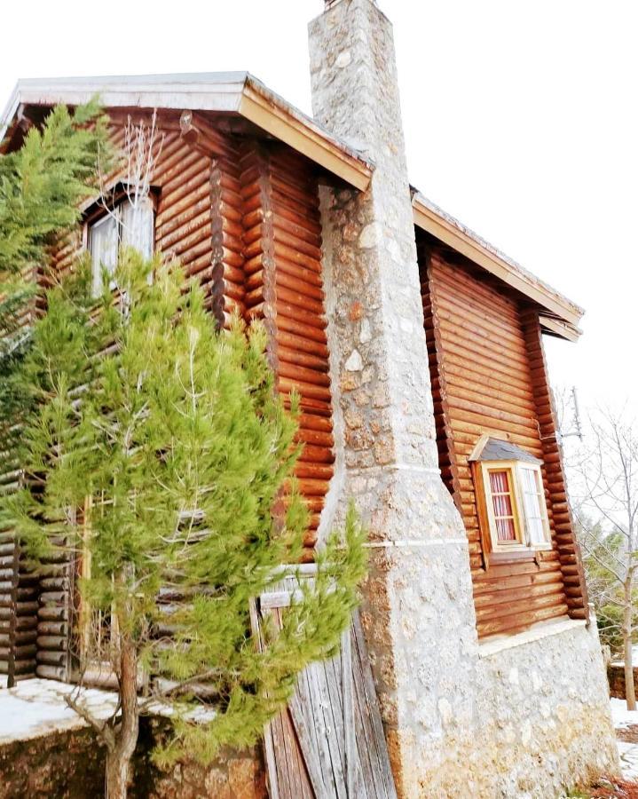 Paradise Chalet Ano Trikala Exterior foto